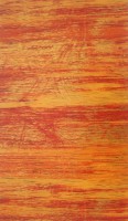 Wachsplatten mit Holzmaser Muster Wachsplatten mit Holzmaser Muster